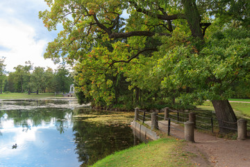 Pond in Catherine Park, Pushkin, St Petersburg