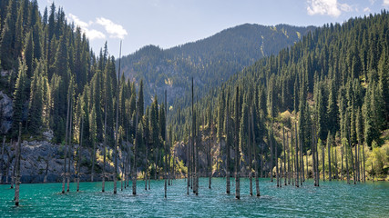 Kaindy Lake in South East Kazakhstan, taken in August 2018taken in hdr taken in hdr
