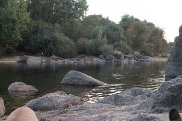 Naklejka premium river