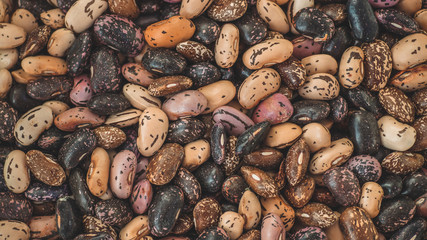 Close up Mix beans background, Mix beans seeds. Seed collection. Healthy food