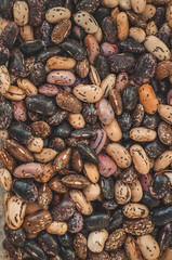 Close up Mix beans background, Mix beans seeds. Seed collection. Healthy food