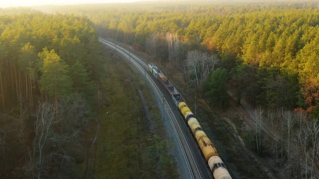 Aerial following view of the freight train carrying petroleum moves through the pine forest at sunset  
