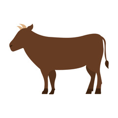 cow cartoon animal wild life