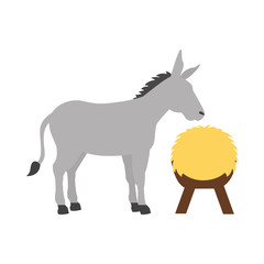 donkey and hay on white background