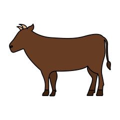 cow cartoon animal wild life