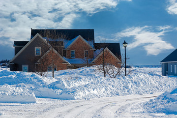 Road throug a North American subdivision