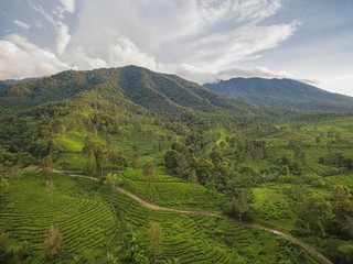 Fototapeta na wymiar Landscape Nature Mountain View, Jakarta. Indonesia