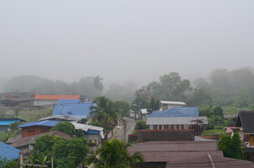 Fototapeta na wymiar Fresh morning weather with fog in the day of winter season in rural area of the north province in Thailand.