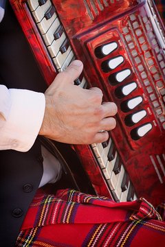 TOCANDO EL ACORDEON 