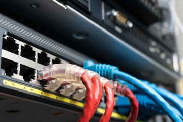 Telecommunication Ethernet Cables Connected to Internet Switch