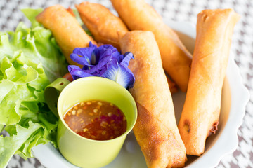 Spring Rolls with sauce on the plate