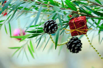 Christmas decorations hanging on the tree with blurred background.