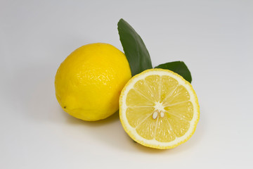 lemons on white background