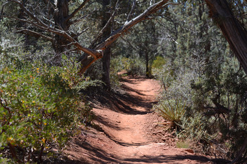 Desert Hiking Path