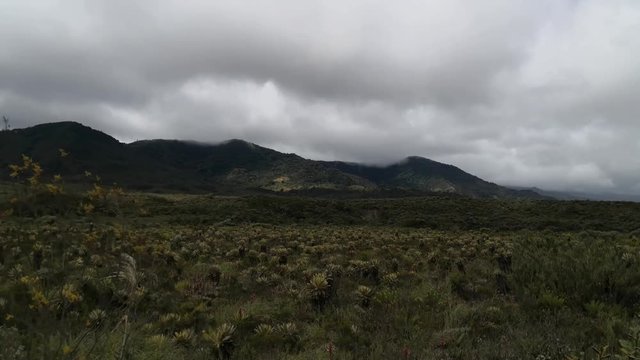 Panoramic of a paramo ecosystem in the Andean mountains of the Purace National Natural Park in southwestern Colombia. Endangered vegetation due to climate change. Specifically mosses and frailejones.