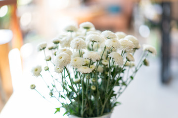 White flowers in glass vase in vintage tone
