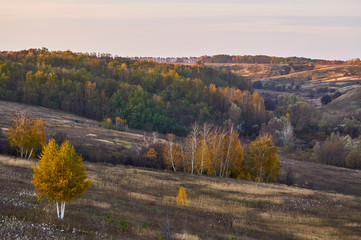 Fototapeta premium A view from Ostritsa Mountain on the territory of the Kopachevsky Slopes landscape reserve. Historical place. Autumn in nature.