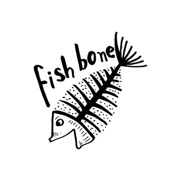 Fish bone, fish skeleton for shirt design, poster, logo.
