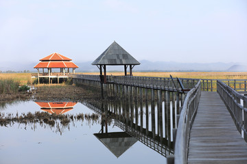 wooden bridge walk way and Pavilion , footpath in Lotus pound for Nature education at Bueng Bua, Phetchaburi Province , Thailand