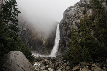 waterfall in the forest - Powered by Adobe