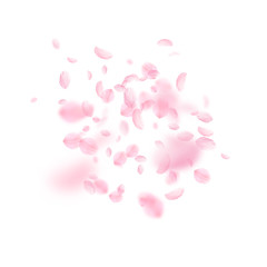 Naklejka premium Sakura petals falling down. Romantic pink flowers 