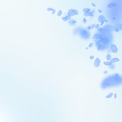 Dark blue flower petals falling down. Classic roma