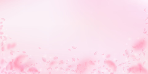 Sakura petals falling down. Romantic pink flowers 