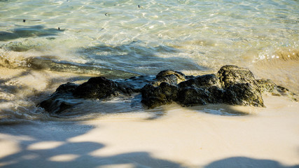 stone and beach water ripple with shed from tree in karimun jawa