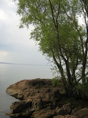 he rocky shore of the Dnieper River. Trees and huge stones.