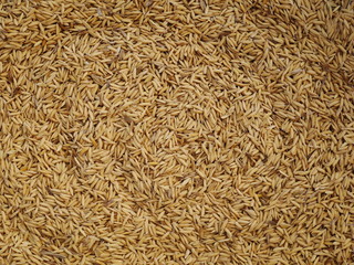 brown rice background
