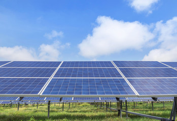 Close up rows array of polycrystalline silicon solar cells or photovoltaic cells in solar power plant turn up skyward absorb the sunlight from the sun 