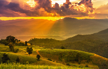    landscape view of   green terraced plantation  paddy rice field in Pa bong Pieng , Mae Chaem,...