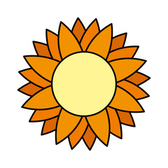 cute sunflower isolated icon
