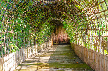 Arched bamboo tunnel arch and walkway