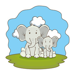 Fototapeta premium cute elephants couple in the camp