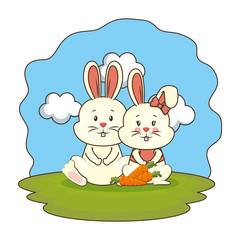 cute rabbits couple with carrot in the camp