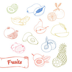hand drawn vector illustration, a set of exotic fruits. sketch, graphic image