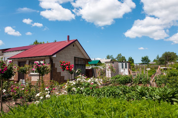 Beautiful country house with blooming garden on a summer day