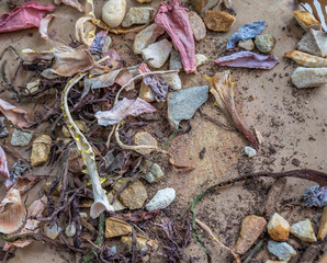 Potpourri natural element still life image with copy space