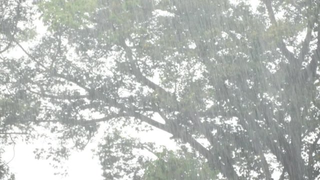 Heavy rain in rainy season