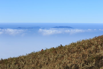 Kew Mae Pan Nature Study Trail on Doi Inthanon National Park, Chiang Mai, Thailand