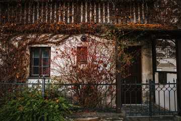 Rural apartment house in the fall or winter. The plants withered. © franz12