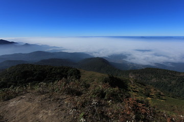 Kew Mae Pan Nature Study Trail on Doi Inthanon National Park, Chiang Mai, Thailand