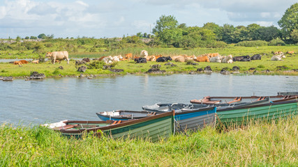 Obraz premium Boats Near Annaghkeen Pier in Ireland