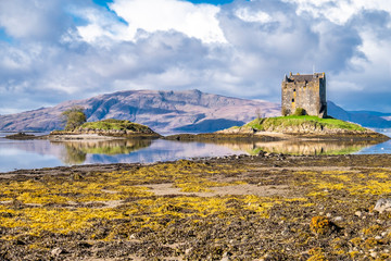 View of the Castle Stalker in autumn on the low tide near Port Appin, Argyll - Scotland