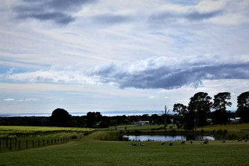 Fototapeta na wymiar Australian landscape with blue sky and white clouds