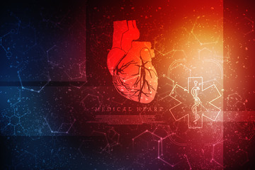 2d illustration  Anatomy of Human Heart 
