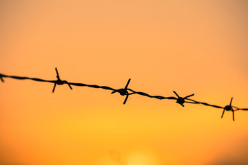 Barbed wire with sun ,Golden light of the sun, through the barbed wire and steel fence, suitable...
