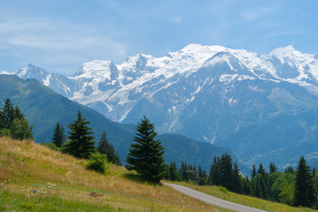 Fototapeta na wymiar Mont blanc seen from Plain Joux, France