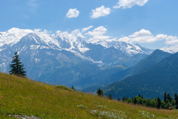Fototapeta premium Meadow with mountain view